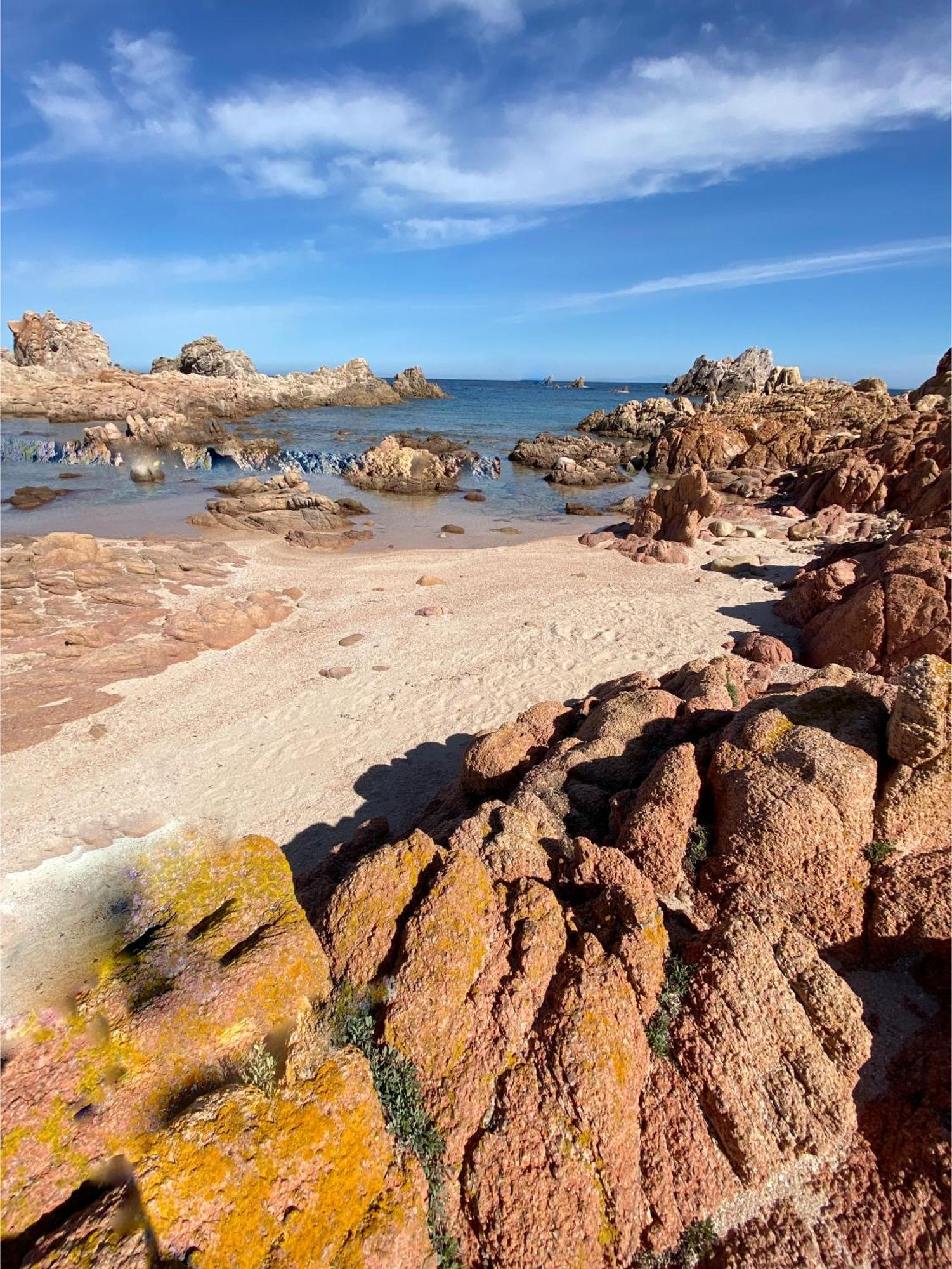 Gli Oleandri Di Calarossa - 5M Walk To The Beach 이솔라 로사 외부 사진